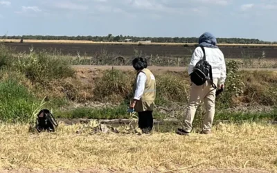 Rastreadoras de Guasave localizan restos humanos en el Canal Alto con apoyo de buzos.