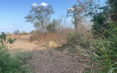 Identifican a mujer asesinada en fraccionamiento Granada