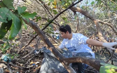 Realizan en Mazatlán séptima jornada de limpieza de manglares, en el marco del Día Mundial del Medio Ambiente.