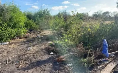 Hallan a uno putrefacto, en una fosa clandestina ubicada junto a unas parcelas de Costa Rica, en Culiacán.