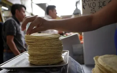 Industriales de la tortilla en Sinaloa mantienen precio pese a aumentos en insumos