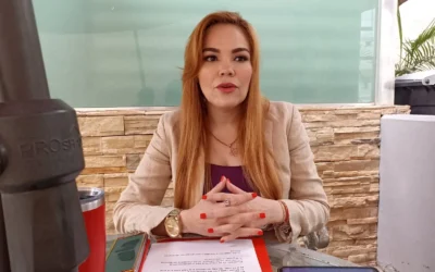 Diputada del PRI propone tres medidas para combatir el robo de vehículos en Sinaloa