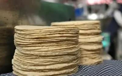 Industriales de la tortilla en Sinaloa enfrentan altos costos por insumos
