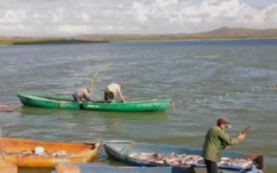 Pescadores de la presa Huites inician veda por bajos niveles de agua y falta de lluvias