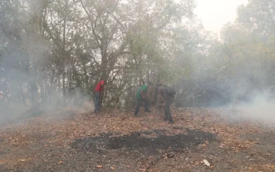 Controlan incendios forestales en El Palmito y Potrero de Los Medina