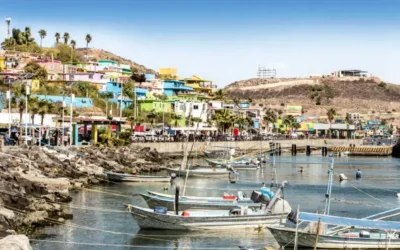 Sector Naval no detecta pesca furtiva significativa en el norte de Sinaloa