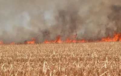 Podrían en Ahome aplicar medida de Bomberos de Guamúchil de no acudir a apagar incendios por quema de soca